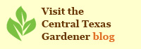 Visit the CTG Blog